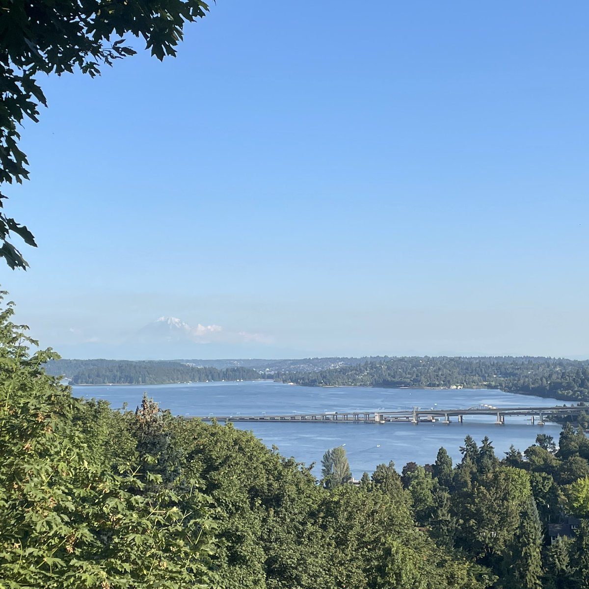 shepard_tina's tweet image. The mountain is coming back out and Cal hit another homer. All is right tonight. #wawx @MtRainierWatch @Mariners