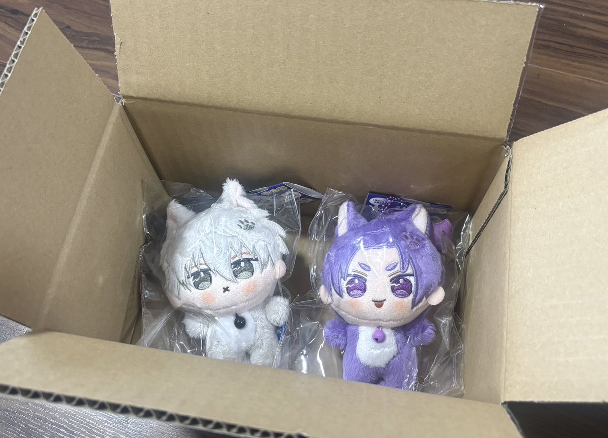 enmi_sioazi_'s tweet image. 今日から飼います
