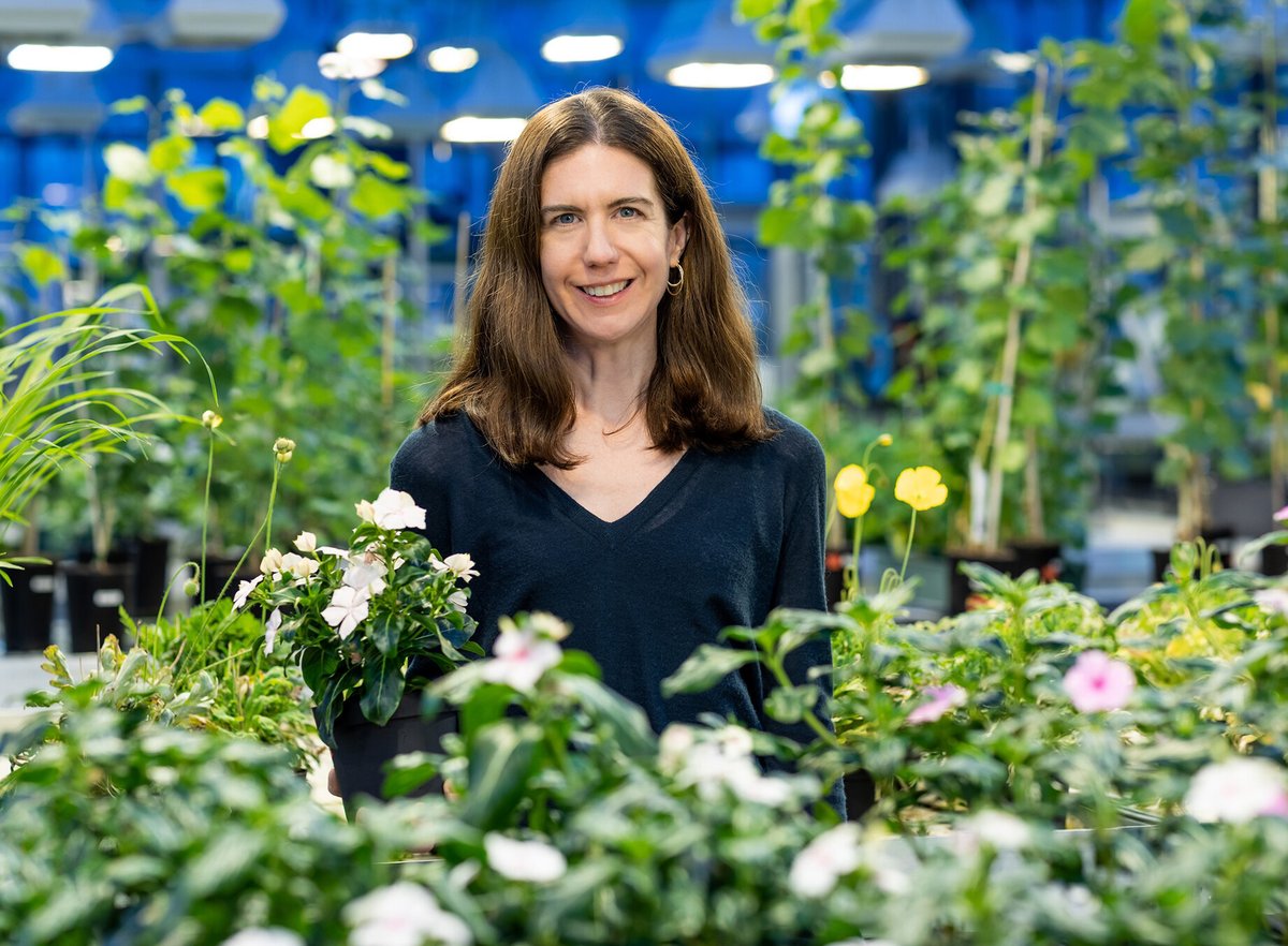 NewPhyt's tweet image. Profile of Sarah E. O'Connor
Sarah is one of the authors of a Priority report by Schotte et al. (2025; doi.org/10.1111/nph.70…). Sarah was also a keynote speaker at our inaugural New Phytologist next generation scientists symposium.
📖 doi.org/10.1111/nph.70…