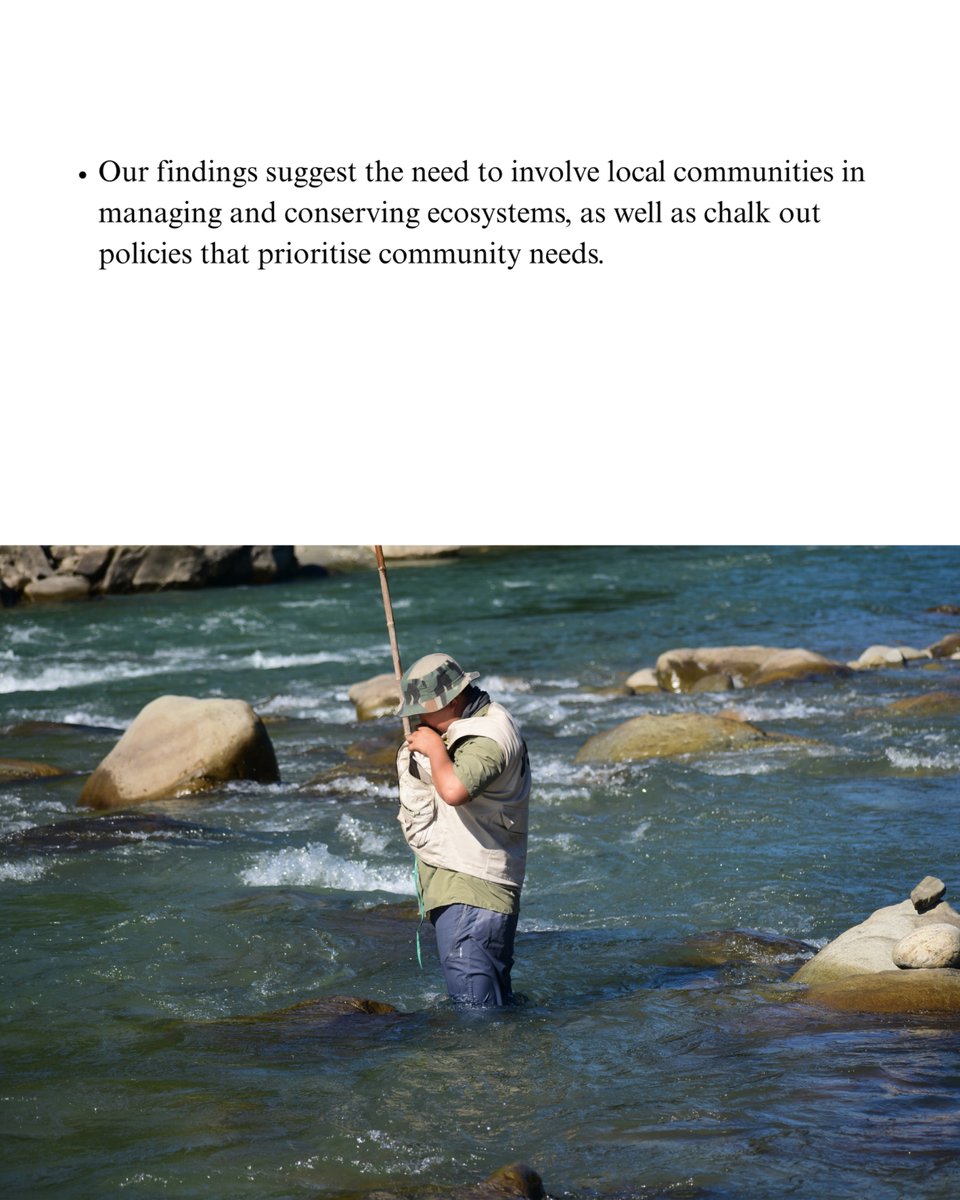 atree_org's tweet image. We explored community values, like well-being, socio-economic benefits and environmental conservation, linked to each of the 18 ecosystem services identified through data collected in the Darjeeling-Sikkim Himalaya. 

Our study highlights the importance of understanding local…