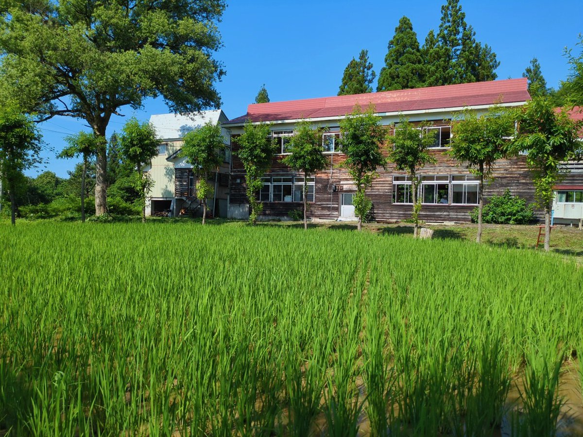 seika_sekai's tweet image. 京都精華大学の教員・卒業生らが出品する「枯木又プロジェクト」が、現在開催中の国際芸術祭「越後妻有2025 夏秋」において、土・日・祝に公開されています。さらに、他のエリアでも本学卒業生が多数出品しています。ぜひ現地でご覧ください。
kyoto-seika.ac.jp/event/2025/072…