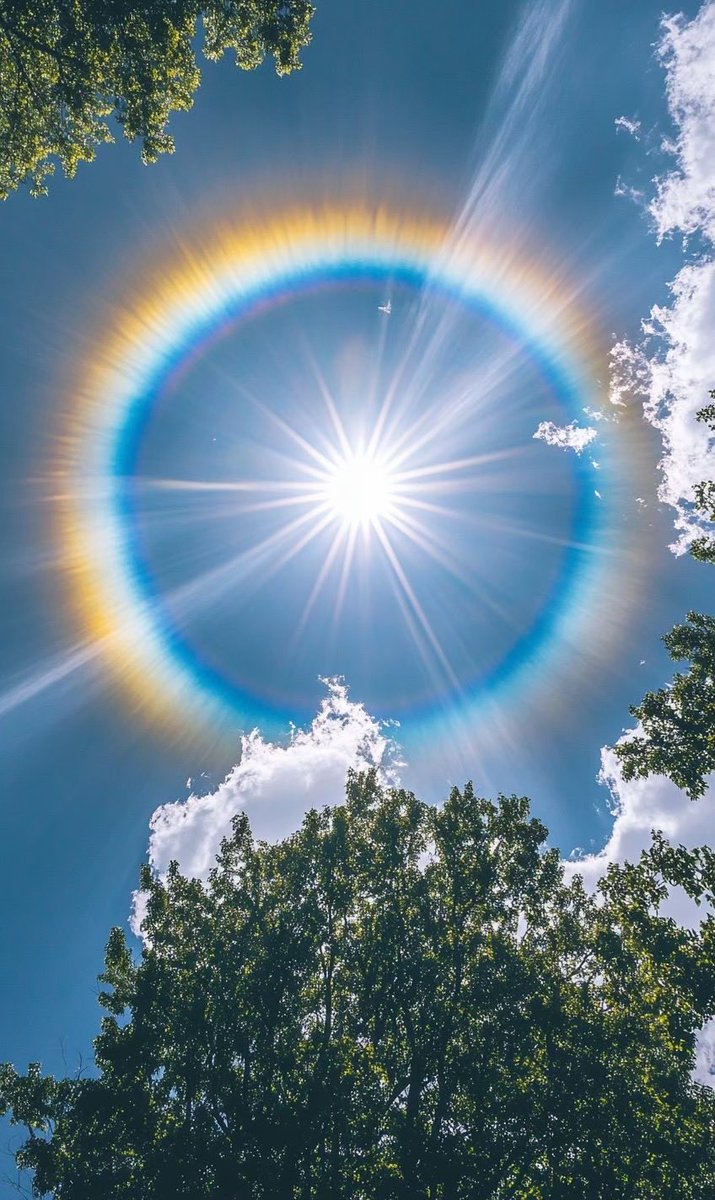 この「日輪」を保存した方

7月24日の最強開運日までに
ポロっと涙がこぼれるほどの幸運が
あなたの身の回りに訪れます🌈

【いいね＆RT】
【リプに「🍀」】でお受け取りください。