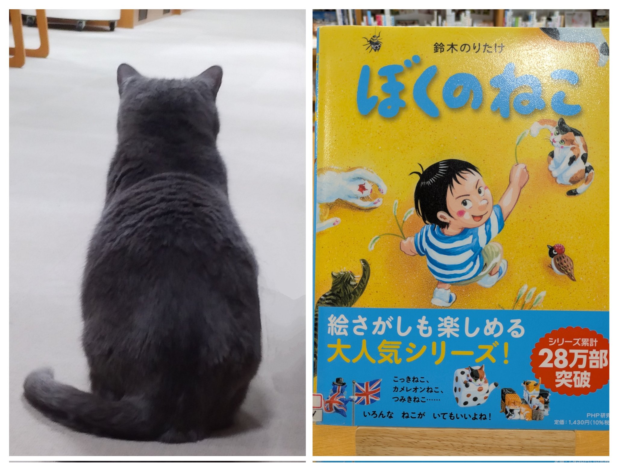 猫ノ図書館 (@neconotoshokan) / X