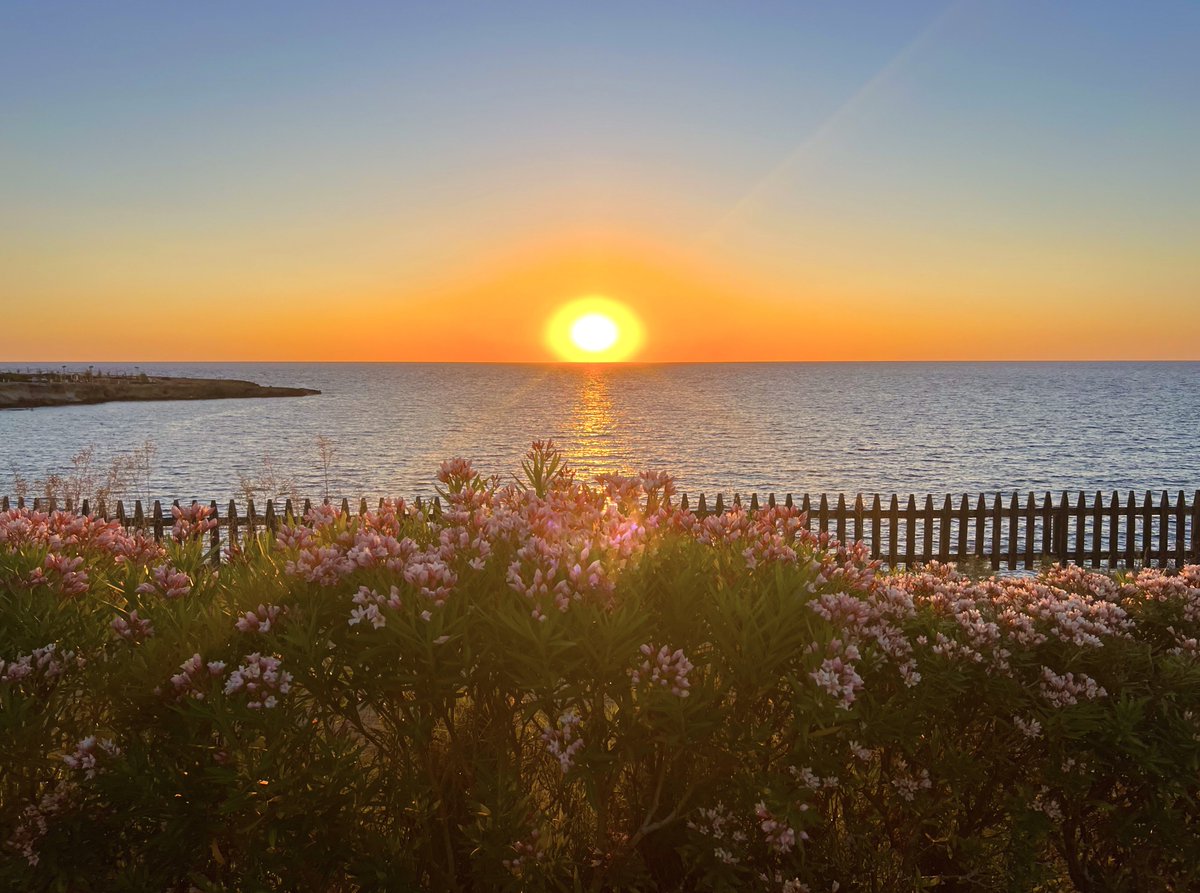capegreco's tweet image. This euphoric feeling of finding happiness in simple, everyday moments. By taking time to notice and appreciate the small things, a captivating sunrise, a gentle sea breeze, the sunlight filtering through the flowers, the sound of bird songs, allows you to appreciate the beauty…