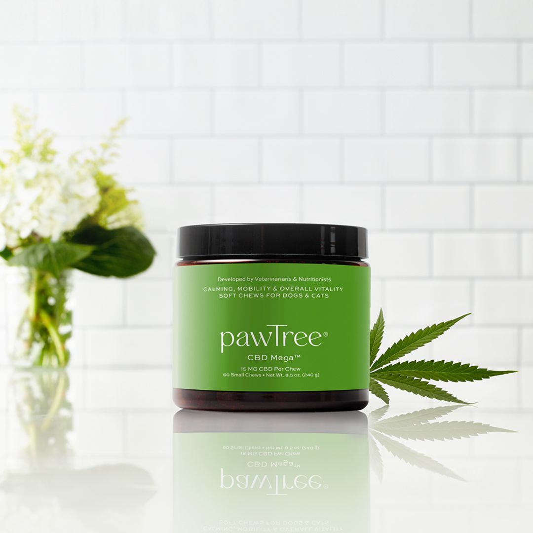 timinadela's tweet image. 🐾 Stressed-out pup? Anxious kitty? 🐶🐱
Try pawTree CBD – specially formulated for pets to help with anxiety, joint pain, and overall calmness.  Vet-approved, THC-free, and yes, they’ll love it! pawtree.com/doggiedelight
#CBDForPets #pawTree #PetWellness #HappyPets