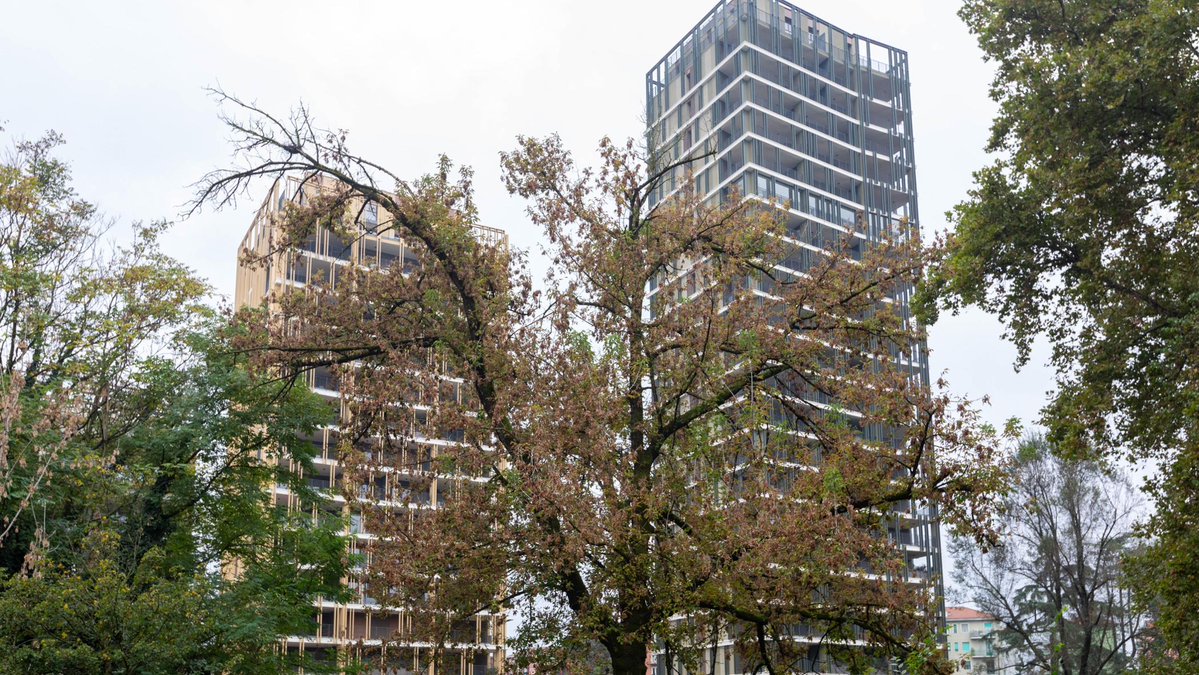 rep_milano's tweet image. Park Towers, il gup dispone il processo per costruttori e funzionari comunali milano.repubblica.it/cronaca/2025/0…