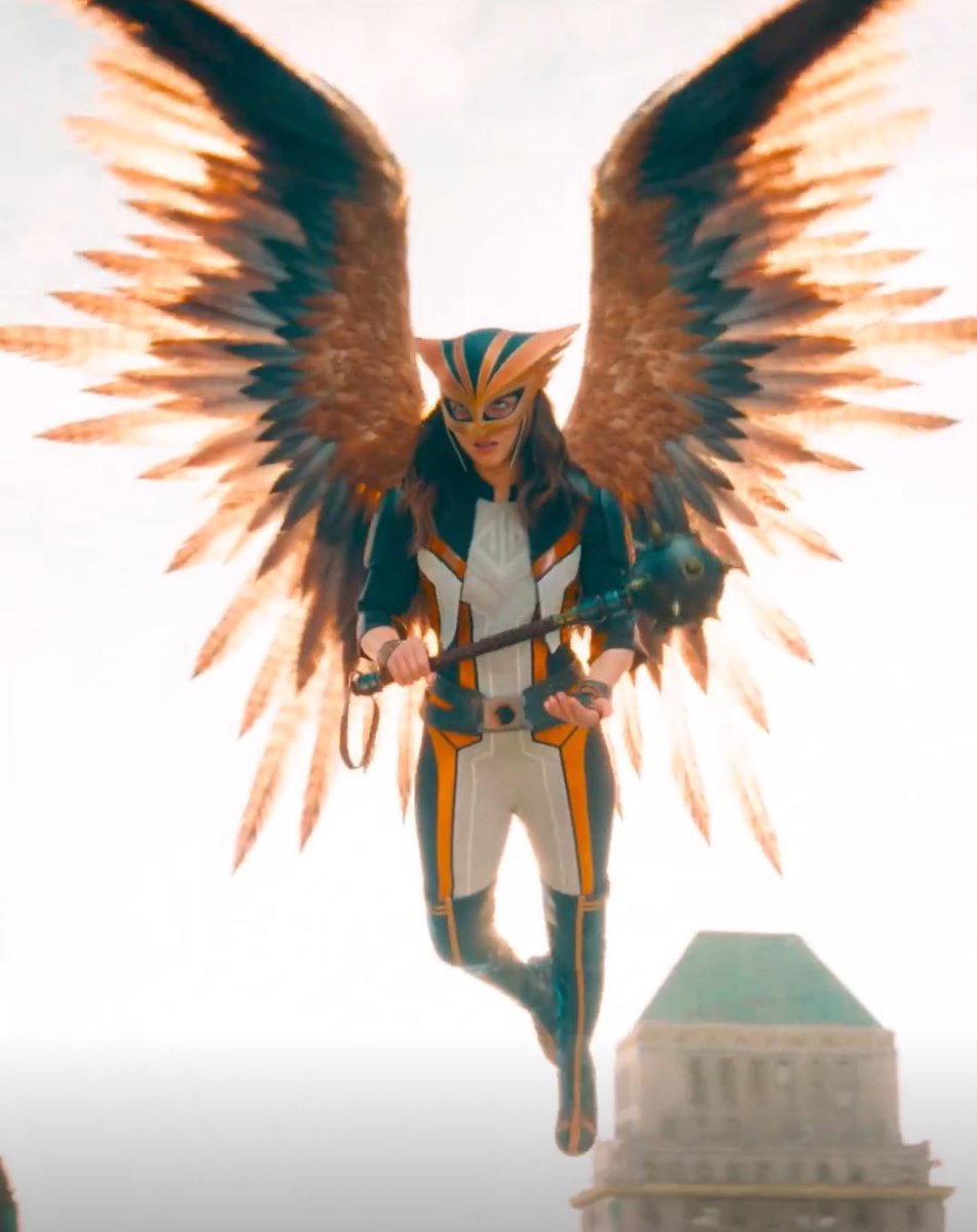 addahsbush's tweet image. final thought before i sleep, when i draw hawkgirls hair just know that i hc that the underside naturally grows more orangey/golden brown than the rest of her hair bc thats how her feathers are colored. born with peekaboo highlights fr