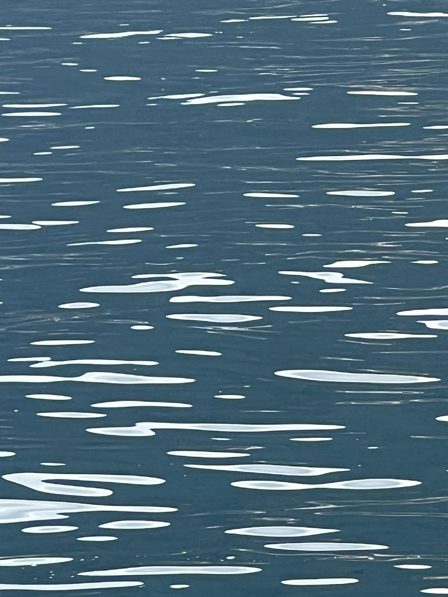bloodsigns's tweet image. I may just look at the water all day. It always makes me wish I could paint …