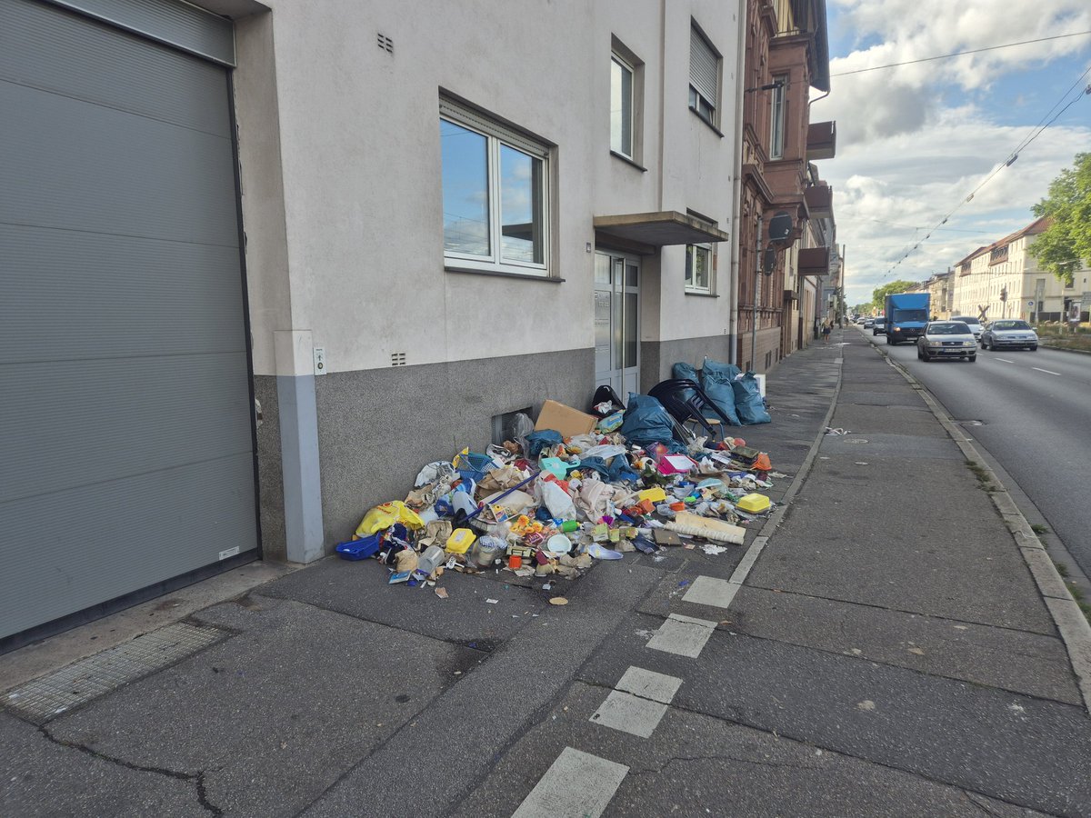 DiGer Hans tweet media