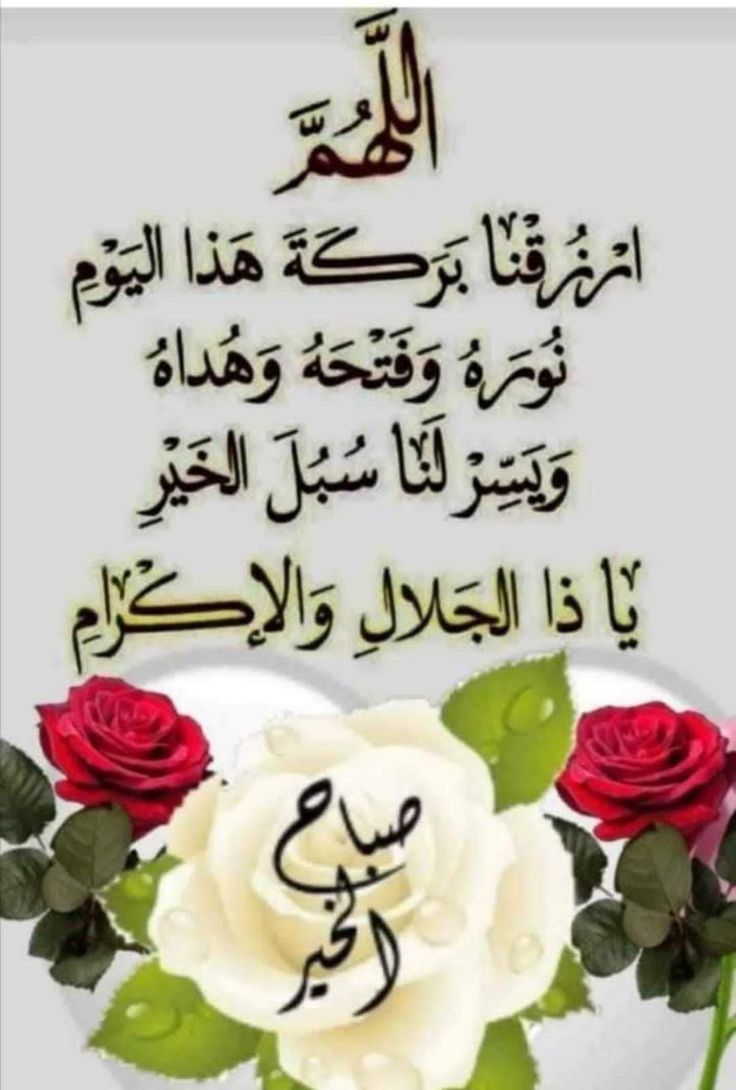 hechmihajri🇹🇳🇵🇸 (@hechmihajr) on Twitter photo 🌿صباح الخير للجميع 🌹🤲 🌿صباح الخير للجميع 🌹🤲