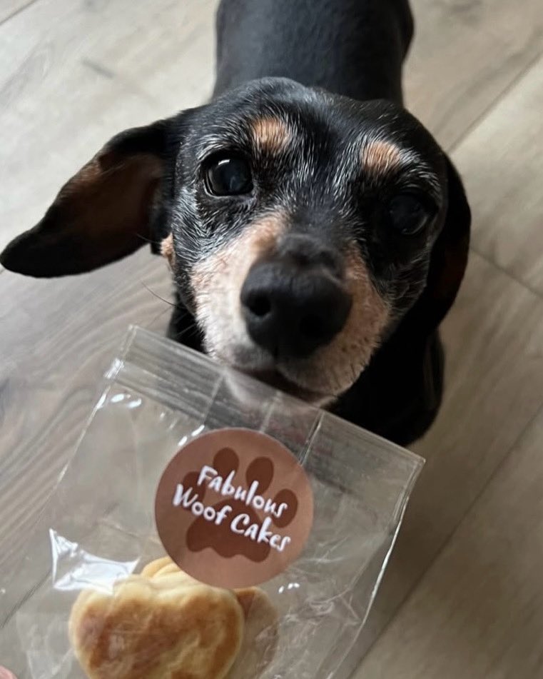 It’s been a while since we did a #WoofWednesday!

Our Fabulous Woofcakes are sure to make your four legged friends very happy!

Pick them up in store this week!
.
.
.
#woofcake #dog #dogtreat #welshcake #fabulous #fabulouswelshcakes #cardiff