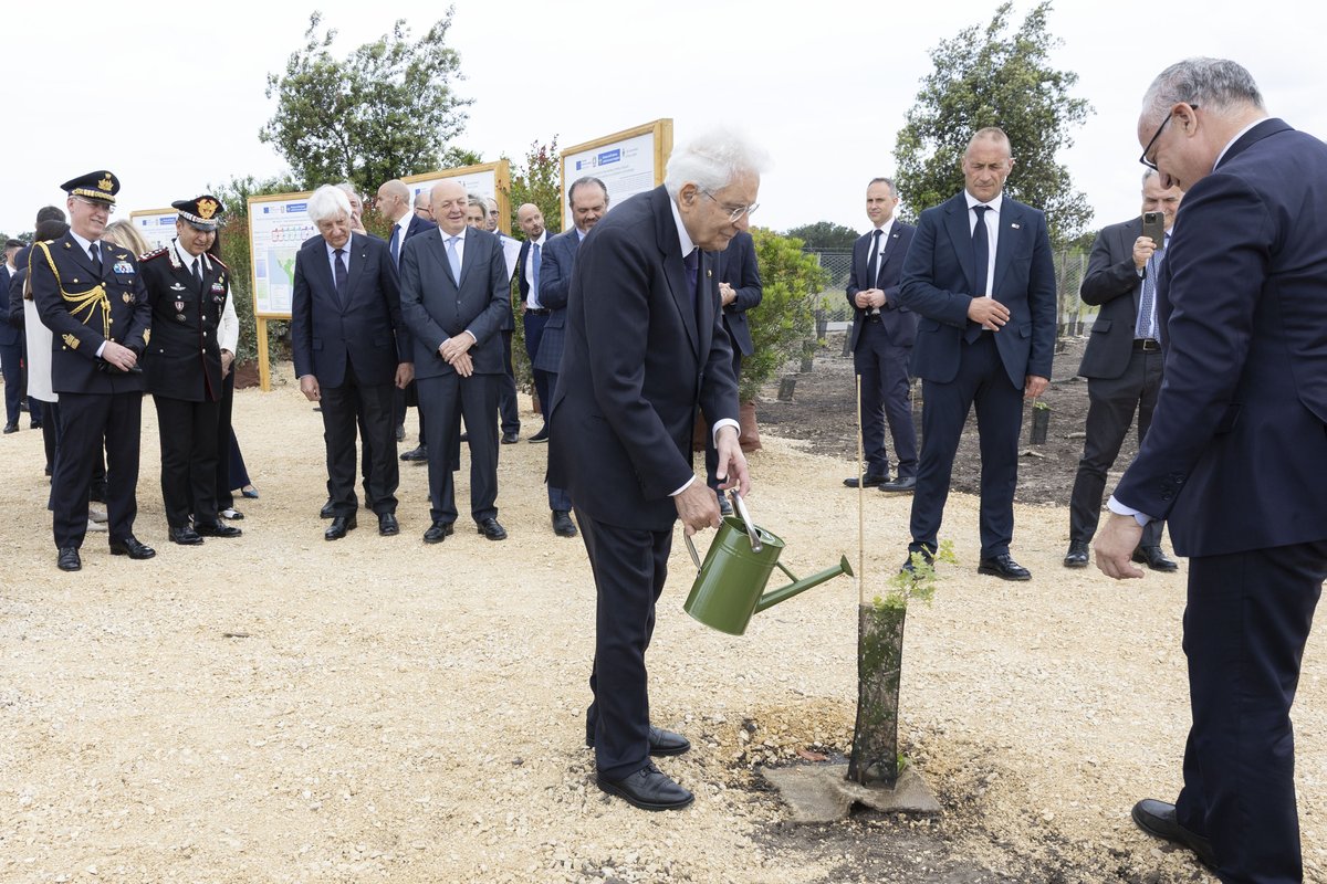 Tv2000.it (@tv2000it) on Twitter photo #23luglio - Sergio #Mattarella compie 84 anni, 
un #compleanno da record per il capo dello Stato da 10 anni e oltre sei mesi al #Quirinale
Giorno di festa, ma nessuna deroga dai suoi impegni: anche oggi lavoro, poi serata in famiglia con figli e nipoti. 
Tanti auguri #23luglio - Sergio #Mattarella compie 84 anni, 
un #compleanno da record per il capo dello Stato da 10 anni e oltre sei mesi al #Quirinale
Giorno di festa, ma nessuna deroga dai suoi impegni: anche oggi lavoro, poi serata in famiglia con figli e nipoti. 
Tanti auguri