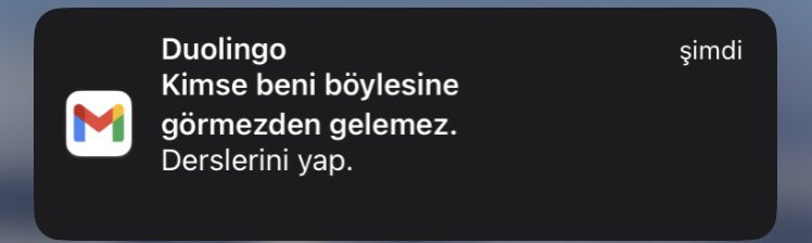 iremozdamarr's tweet photo. Bir tribini çekmediğim #Duolingo kalmıştı. https://t.co/Pb6bCpBQ7H