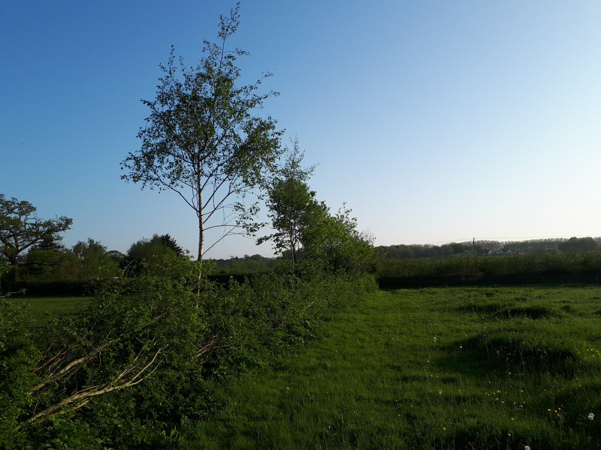 man_in_woods's tweet image. for my love