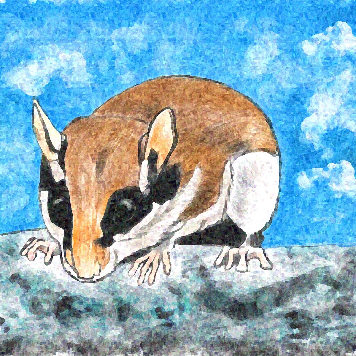 Draw a Pet tweet media