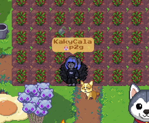 kakycala.ron tweet media