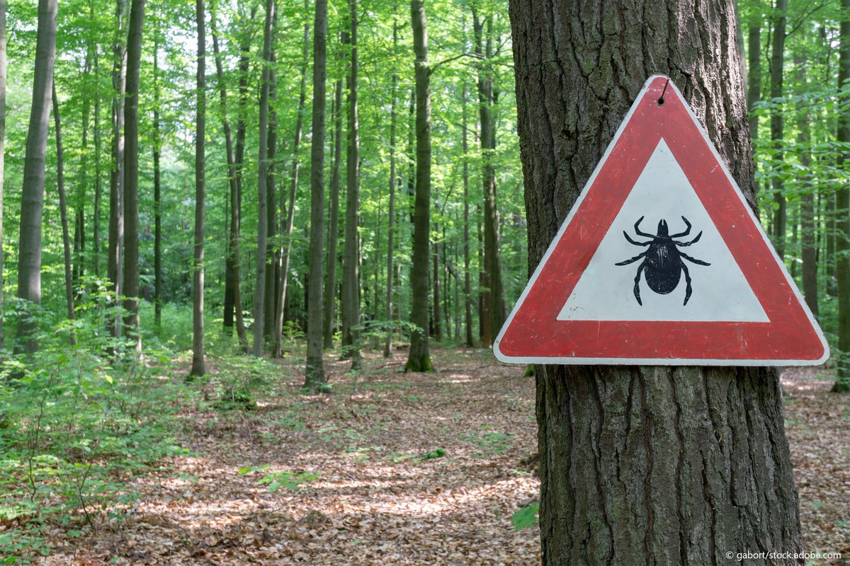 CORDIS_EU's tweet image. A powerful and free online platform is boosting Europe's ability to combat emerging diseases. ๐๐ก ๐ฆ
Through machine learning, the @MOOD_H2020' platform increases our capacity to detect and respond to infectious diseases. ๐จโ๐ป๐ฌ Discover it at: ๐ europa.eu/!vWCpjV