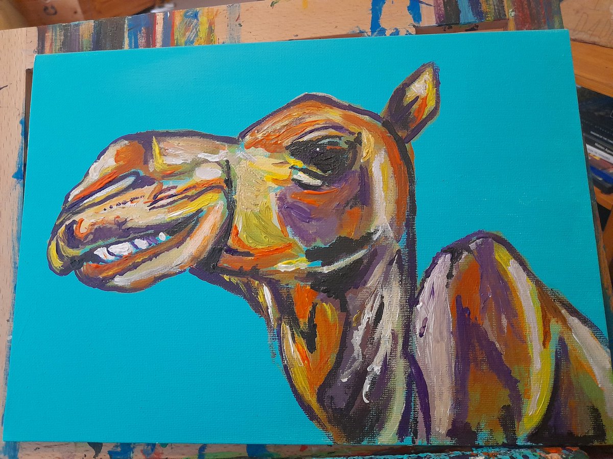 RhymesRadical's tweet image. Happy Hump Day from Humphrey! What are your plans today? ❤️🤗🐪