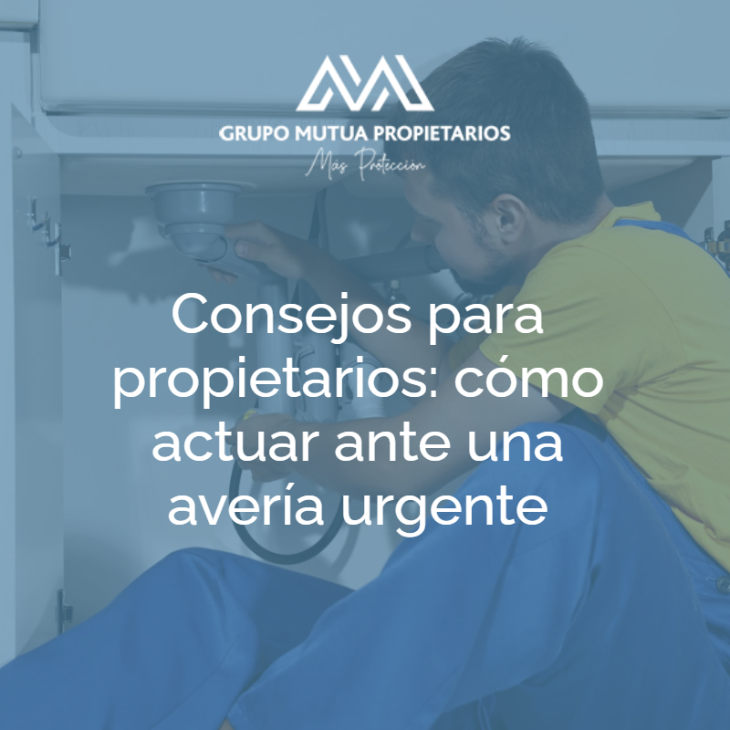 🔧 ¿Sabes qué hacer si sufres una avería urgente en casa?

En momentos de estrés, tener un plan claro puede marcar la diferencia.

En nuestro #BlogGMP, te damos las claves para actuar con rapidez y eficacia ante situaciones que pueden comprometer la seguridad o dañar tu vivienda.