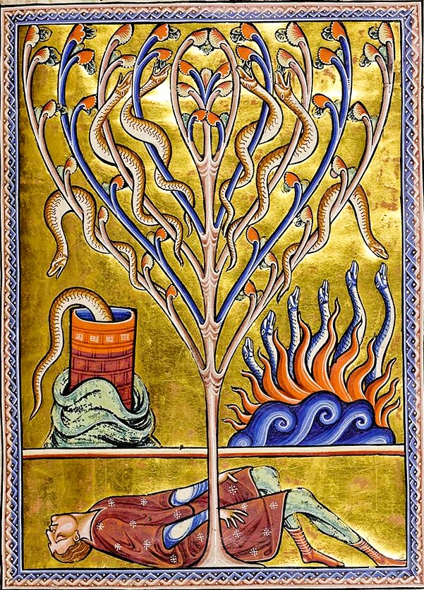 VirDesideriorum's tweet image. From the famous Aberdeen Bestiary (England, ca. 1100):
"The salamander is so called because it is proof against fire. Of all poisonous creatures, it has the strongest poison. Other poisonous creatures kill one at a time; it can kill several things at the same time. For if it has…