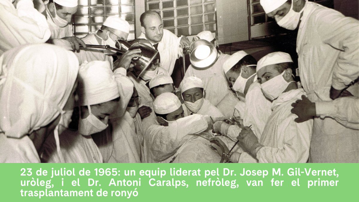 hospitalclinic's tweet image. 🎂 Avui estem d’aniversari: fa 6⃣0⃣ anys que al #CLÍNIC s’hi va fer el primer trasplantament de ronyó de l’Estat espanyol!
🩺 Sabies que des de 1965 hem fet 5⃣.8⃣0⃣6⃣ trasplantaments de ronyó i seguim líders?
➕Info 👉 clinicbarcelona.org/ca/noticies/60…