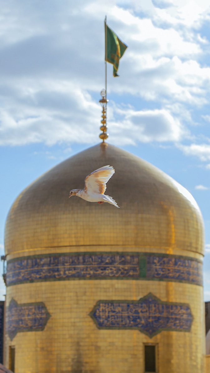 limohmdl's tweet image. به حال ما نظري كن، كه ما خراب توايم...