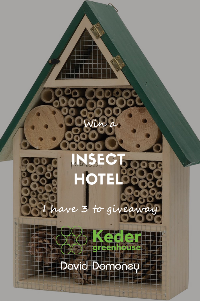 David Domoney (@daviddomoney) on Twitter photo #ad
Enter my free prize draw for your chance to win 1 of 3 Insect Hotels.
👉 bit.ly/44jSQOw
UK Residents Only
T&C's Apply
31/07/25 at 11:59 PM
<a href="/KederGreenhouse/">Keder Greenhouse</a>
#WinItWednesday #FreebieFriday #ad
Enter my free prize draw for your chance to win 1 of 3 Insect Hotels.
👉 bit.ly/44jSQOw
UK Residents Only
T&C's Apply
31/07/25 at 11:59 PM
<a href="/KederGreenhouse/">Keder Greenhouse</a>
#WinItWednesday #FreebieFriday
