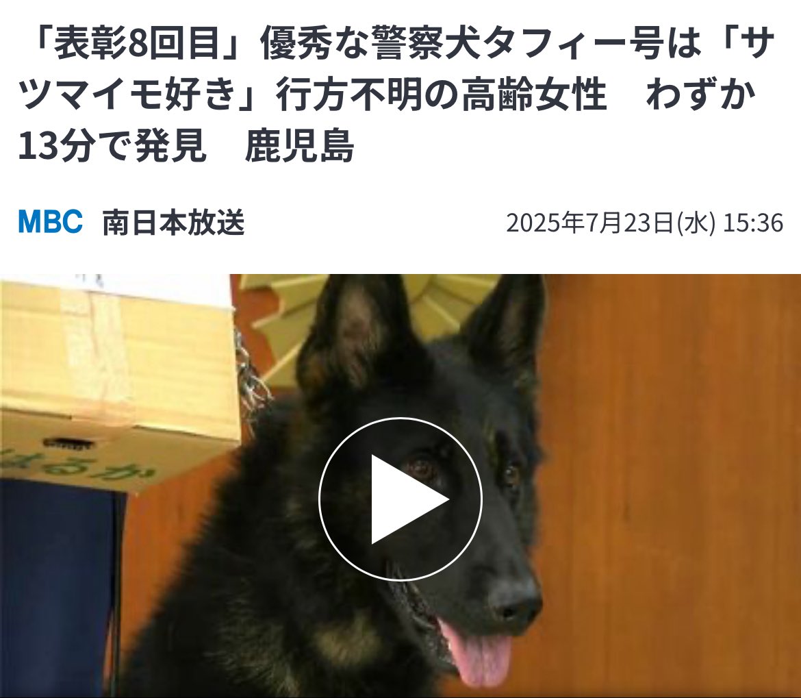 xxhajixxx's tweet image. 政治家より目に見える仕事してて
お犬庁作った方が良くない?
デジタル庁
子供家庭庁の予算半分減らして作ろうぜ
鹿児島市で行方不明の高齢女性 捜索開始からわずか13分で発見 警察犬が表彰