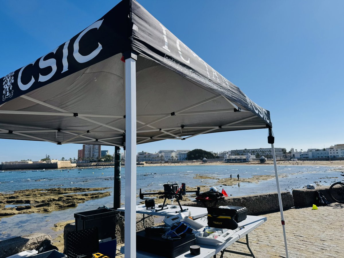 SeaDron (@dronsea) on Twitter photo Hoy volvemos a la playa de La Caleta en Cádiz, para continuar con los trabajos de campo del proyecto Turisdron. Cambiamos a una playa urbana para evaluar la presencia de cremas solares en la superficie del agua y el impacto del turismo.
ℹ️ turisdron.csic.es
<a href="/ICMAN_CSIC/">ICMAN-CSIC</a> Hoy volvemos a la playa de La Caleta en Cádiz, para continuar con los trabajos de campo del proyecto Turisdron. Cambiamos a una playa urbana para evaluar la presencia de cremas solares en la superficie del agua y el impacto del turismo.
ℹ️ turisdron.csic.es
<a href="/ICMAN_CSIC/">ICMAN-CSIC</a>