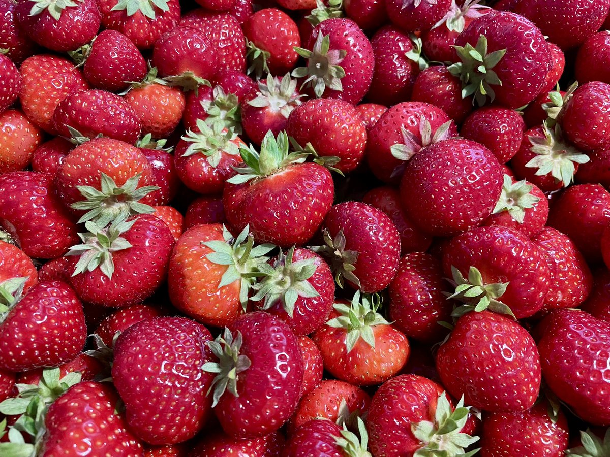 JenniVirtaluoto's tweet image. On the wall of the shop at my local strawberry farm: ”We speak Ukrainian. russian only if we absolutely must. And a couple of the natives also speak Finnish.” 💙💛😁