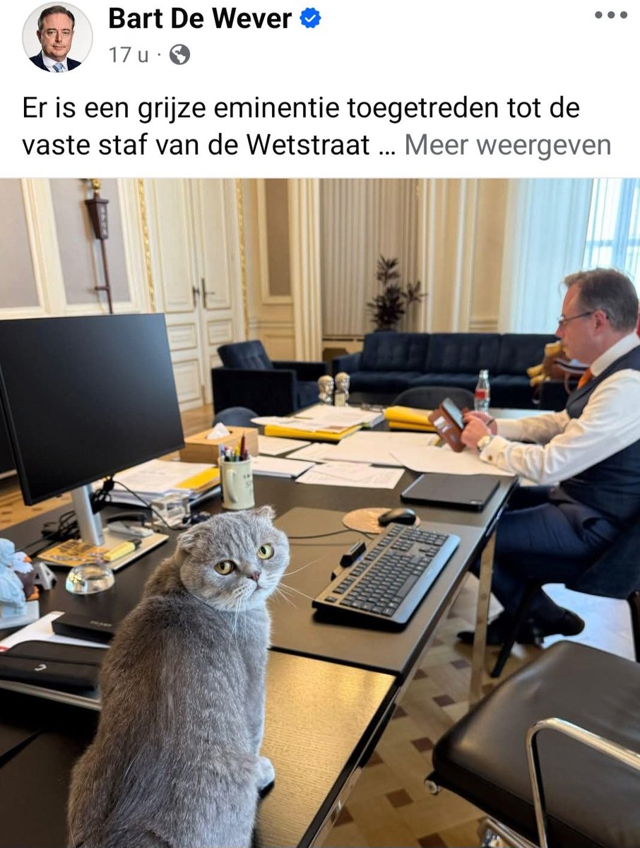 TomVandendriese's tweet image. De totale banaliteit als politieke communicatie. Om het toch maar niet over zijn desastreus bedrogbeleid te hebben. Bart Rousseau en Conner De Wever zijn helemaal vervlochten met elkaar. #nieuwvooruitalliantie #vlaamsepussycat