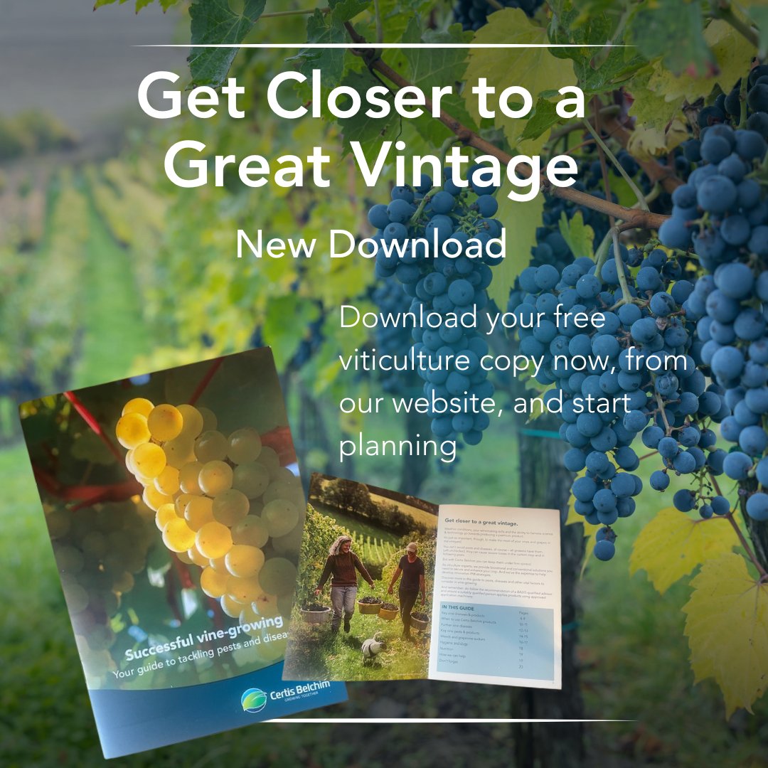 Our Guide to Successful Vine-growing has everything you need to stay informed about key diseases, pests, and weeds, plus guidance on cultural control and hygiene. ⁠certisbelchim.co.uk/crop-focus/vit…
⁠
Our horticulture team is also available on 0845 373 0305 ☎️ 
#grapes #winegrowers