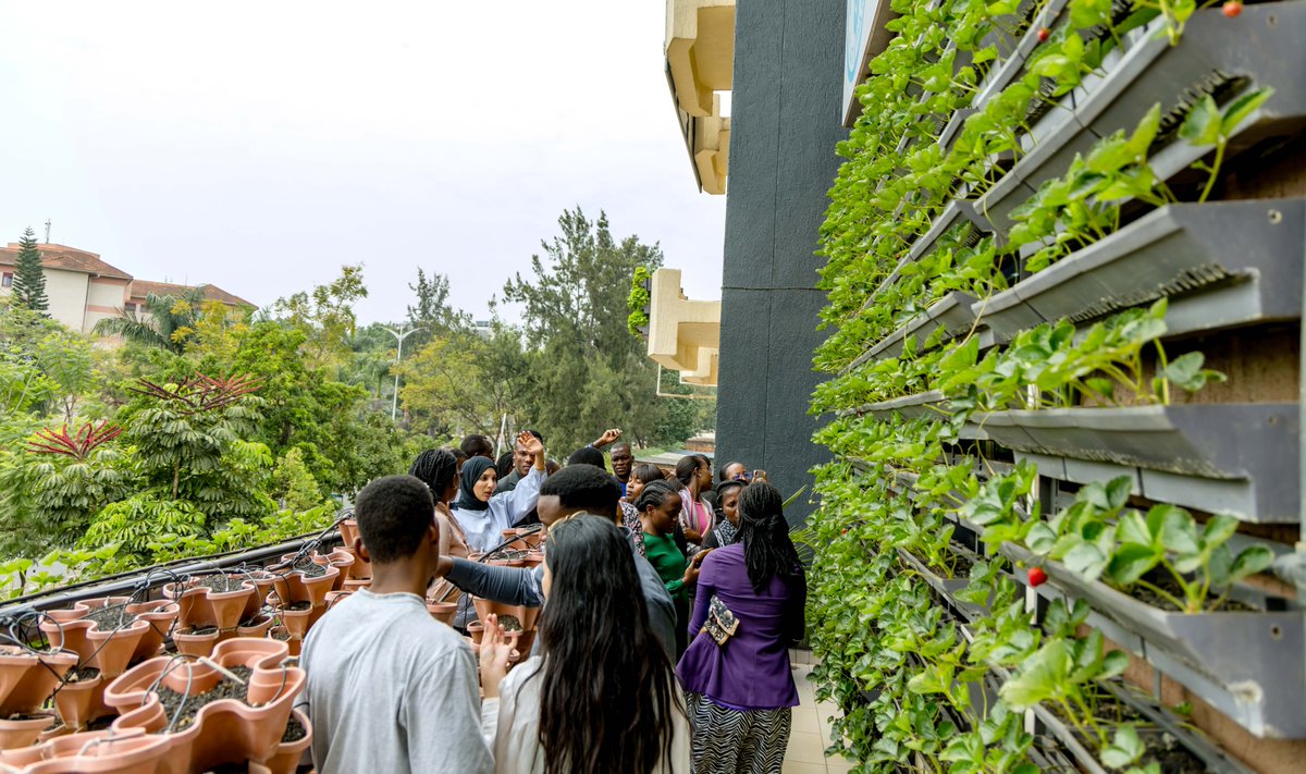 This week, <a href="/FAORwanda/">FAO in Rwanda</a> is conducting capacity building for young agri-entrepreneurs in sustainable urban farming, with a focus on #verticalfarming.

The goal is to equip participants with skills to design, install, and maintain vertical farming systems for market competitiveness.