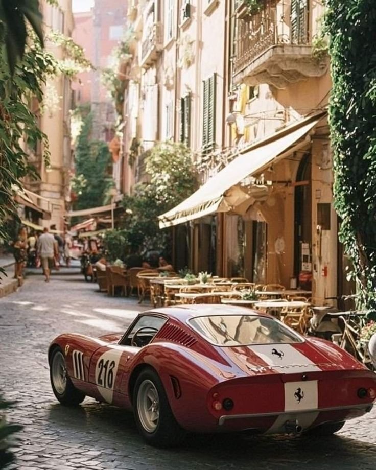 FertilityMaxx's tweet image. Need to MediterraneMaxx for a while.
Olives, sunlight, zero stress.
Anti-inflammatory monk mode.