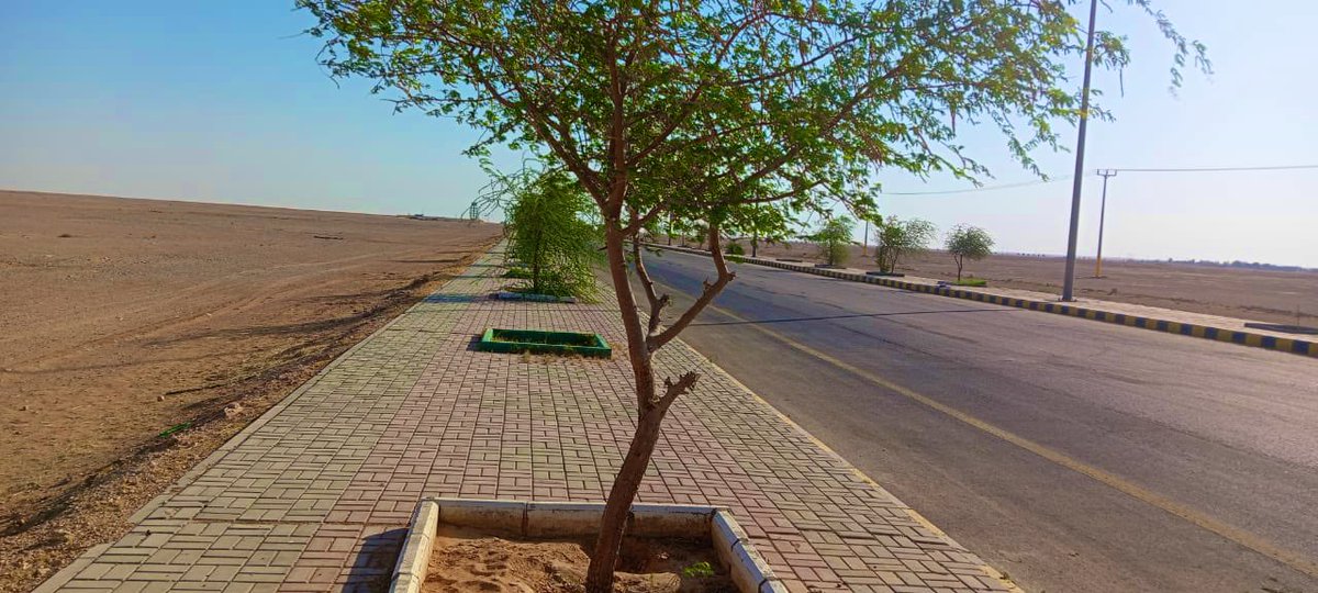 ummkhonsar's tweet image. ضمن أعمال الصيانة الدورية، نفّذت #بلدية_أم_خنصر أعمال قص وتهذيب الأشجار في عدد من المواقع والقرى التابعة، بهدف المحافظة على المظهر العام، وتعزيز السلامة البيئية، وتحسين المشهد الحضري.وتأتي هذه الأعمال ضمن خطة البلدية للعناية بالغطاء النباتي والارتقاء بجودة الحياة.