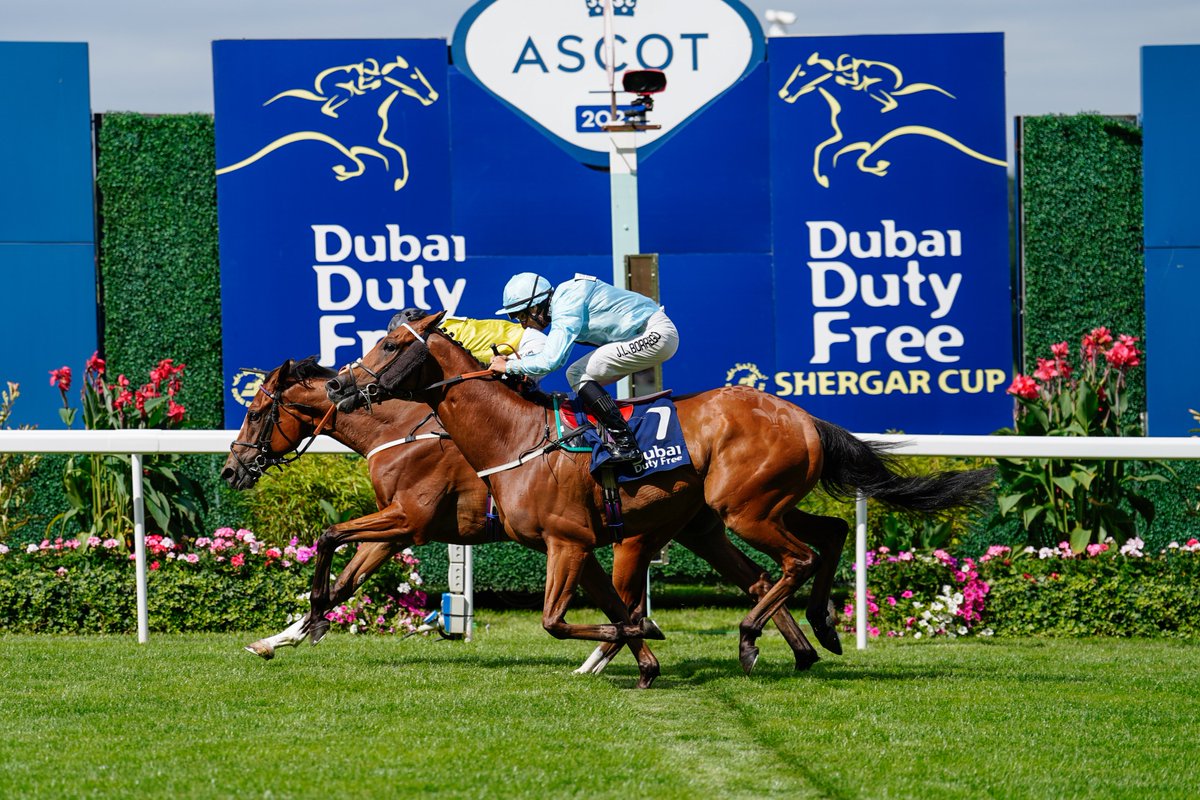 The 2025 Dubai Duty Free Shergar Cup teams are complete with Katie Davis, Delphine Santiago and Joanna Mason set to join the likes of Hollie Doyle, Ryusei Sakai, Hugh Bowman, Karis Teetan and Suraj Narredu at the unique team-based jockey competition this year.
Riders from ten