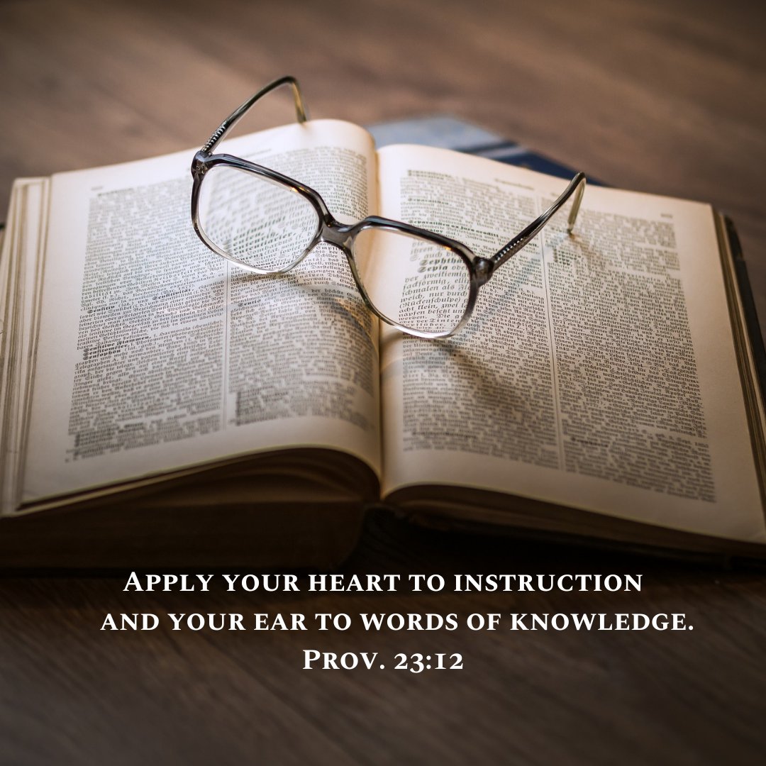WmHillJr's tweet image. Daily Proverb (7.23.2025) 📖 
#dailyproverb #proverbs #wisdom #bible
