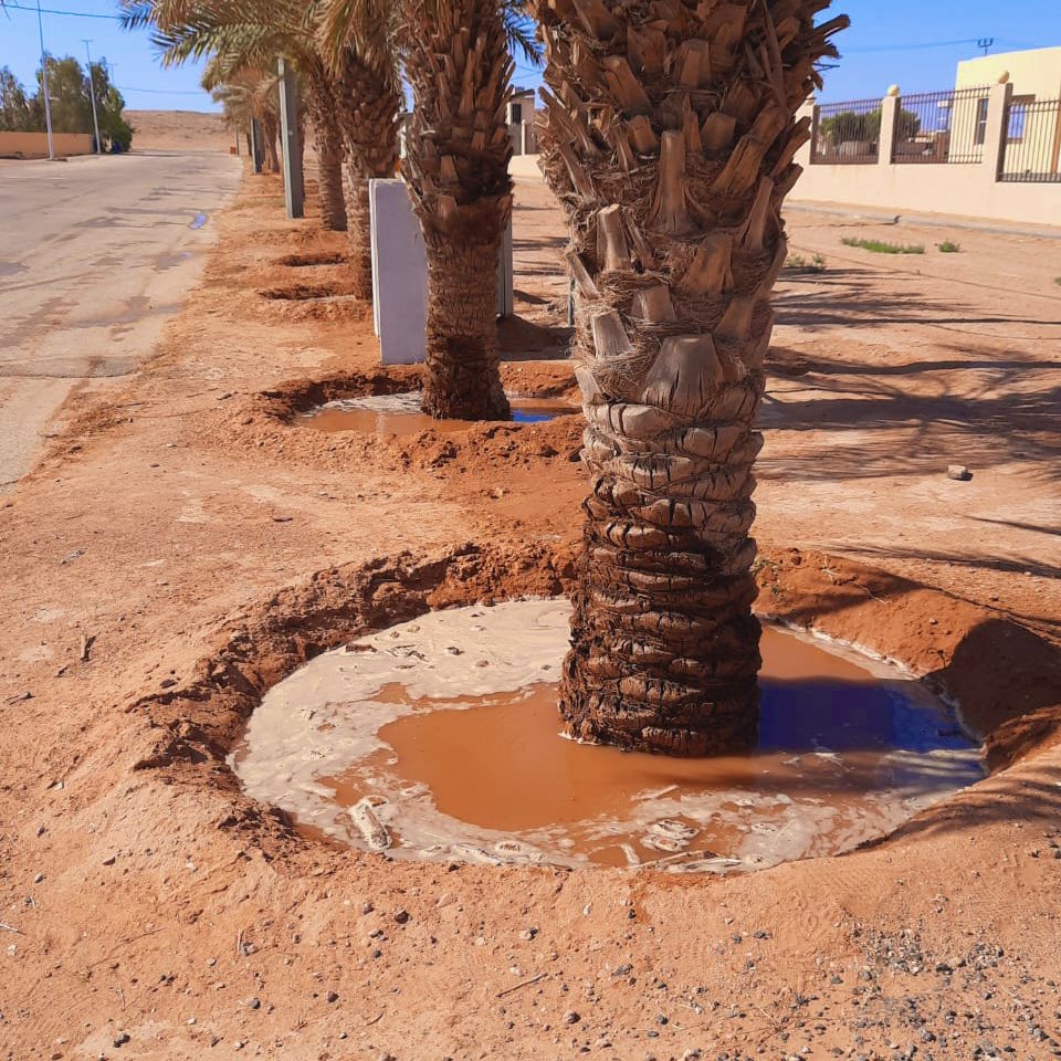 ummkhonsar's tweet image. #صور
🌴 تواصل #بلدية_أم_خنصر أعمال سقيا الأشجار والنخيل في القرى التابعة، ضمن جهودها في تعزيز الغطاء النباتي وتحسين المشهد الحضري.
📍 أعمال دورية وفق جدول زمني يخدم الاستدامة البيئية.
#بلدية_أم_خنصر
#أمانة_منطقة_الحدود_الشمالية