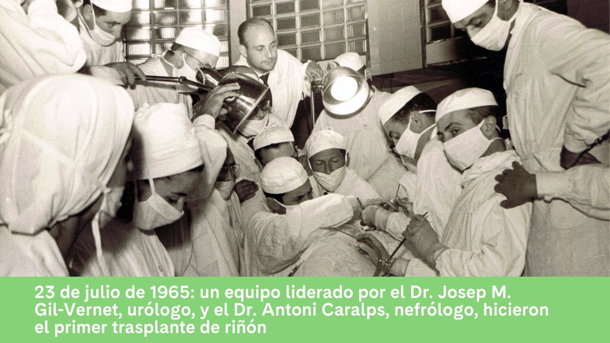 🎂 Hoy estamos de cumpleaños: ¡hace 6⃣0⃣ años que en el #CLÍNIC se hizo el primer trasplante de riñón del Estado español!

🩺¿Sabías que desde 1965 hemos realizado 5⃣.8⃣0⃣6⃣ #trasplantes de riñón y seguimos líderes?

➕Info 👉clinicbarcelona.org/noticias/60-an…