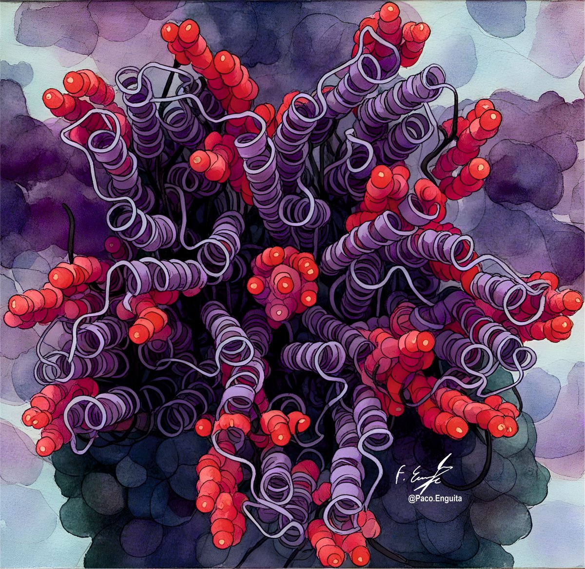 fenguita's tweet image. Cryo-EM structure of the flotillin-associated rhodopsin PsFAR in detergent micelle (PDB code: 9R21) #scivis #molecularart @dzine_ai @proteinimaging
behance.net/gallery/230972…