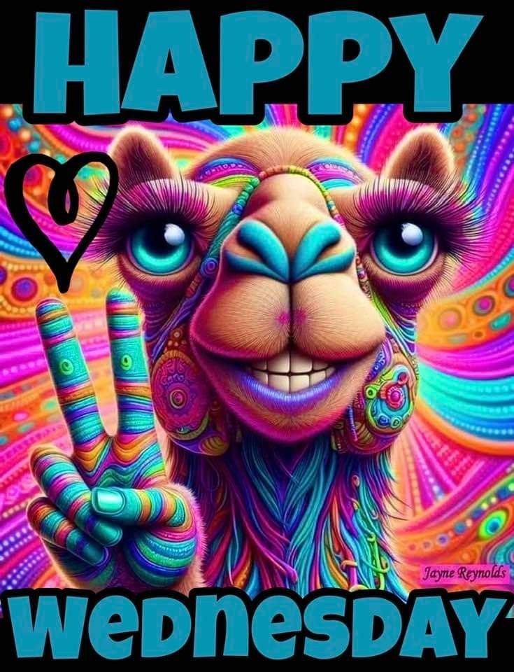 NicholasKocis1's tweet image. Good morning everyone. Happy Wednesday Hump Day ๐ช. Halfway through the week ๐. Hope you all have slept well and had breakfast ๐ณ๐ฅ๐ง๐ฅ๐ฅ๐ฅ๐ฅโ. Hope everyone is doing well. Enjoy the rest of the day ๐โ๐๐.