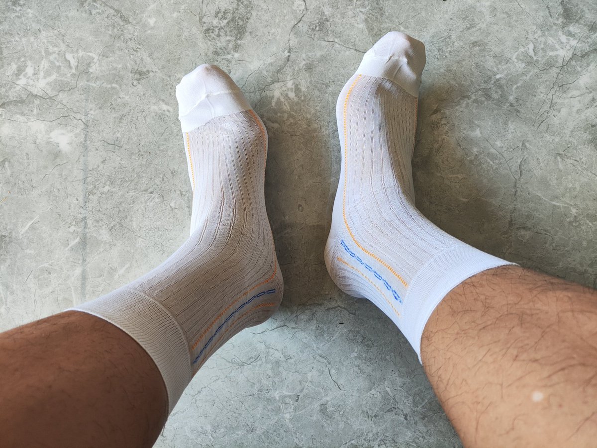 单身公0熊叔找中年伴侣金主 tweet media