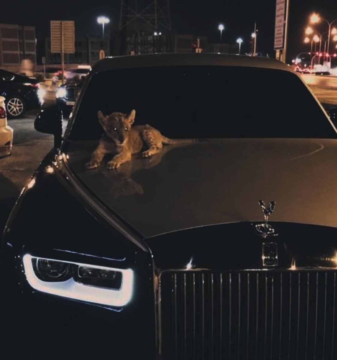 A real success doesn't come easy.