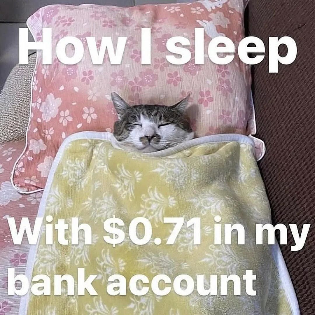 Shoota (@shootacat) on Twitter photo 