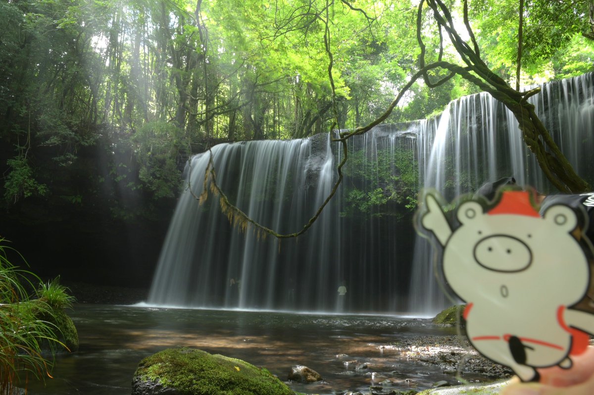 ＼＼九州屈指の避暑地、火の国 #阿蘇 ／／

阿蘇に遊びに行ってきたよ🌟
#大観峰 は望めなかったけれど、風が最高に気持ちよかった～‼️
食事は平日も並ぶ、大人気 #いまきん食堂 の「あか牛丼」🐂
脂身さっぱりで美味しすぎた…✨
そして #鍋ケ滝 のこの清涼感❗

みんなも行ってみてね🐻

#熊本