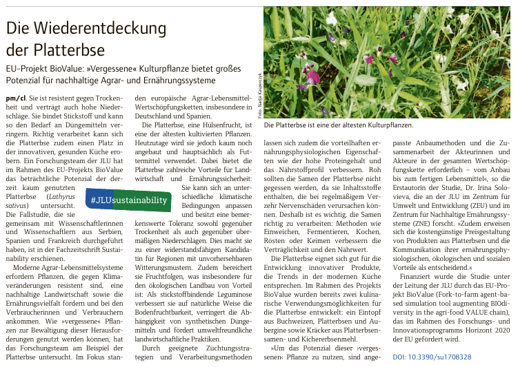 BiovalueProject's tweet image. 🌱 A comeback for an ancient crop!
The grass pea —once forgotten—is now being rediscovered through research at JLU Gießen!
✅ Drought & flood-resistant
✅ Natural nitrogen fixer
✅ High in protein
✅ Perfect for innovative, healthy cuisine
📚 Check it at page 6!
