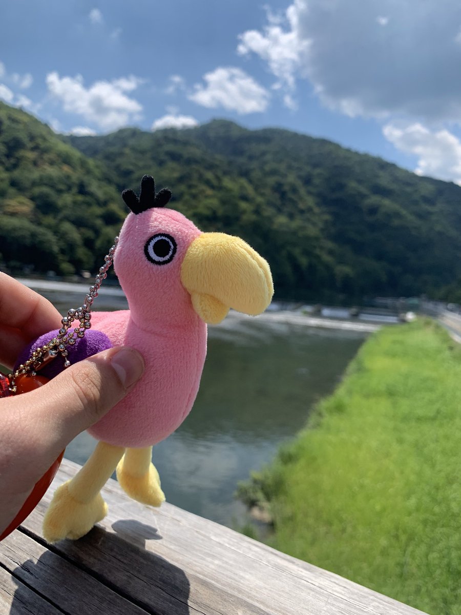 RowanVRGames's tweet image. Opila bird vibing at Togetsukyō Bridge 😎
#gartenofbanban