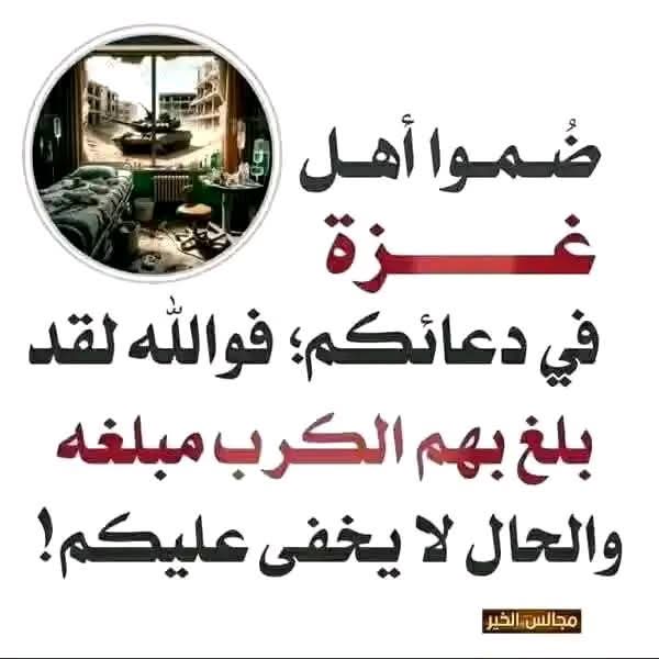 hassan qandil (@hassan_qandil) on Twitter photo 