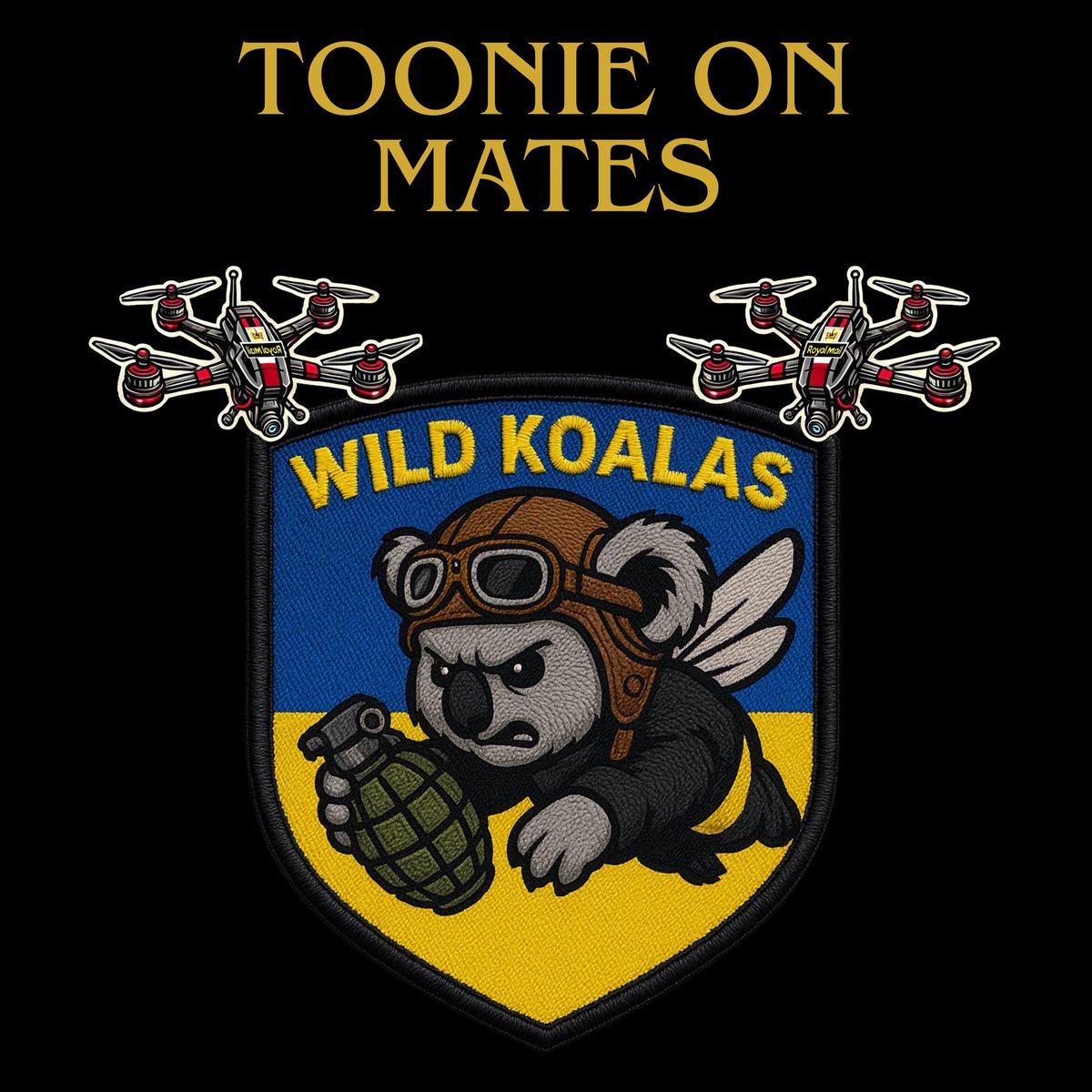 G’Nighty Night All! 🐨
If you can please continue to toonie &amp; amplify Toonie Tuesday’s post! If my sleepy brain is working right, we are about $1300 off from the 🎯 for the 78th Airborne Assault Regiment’s Drone Unit “Royal Mail” 🙏🏼
Thank you to all who have participated today!!
