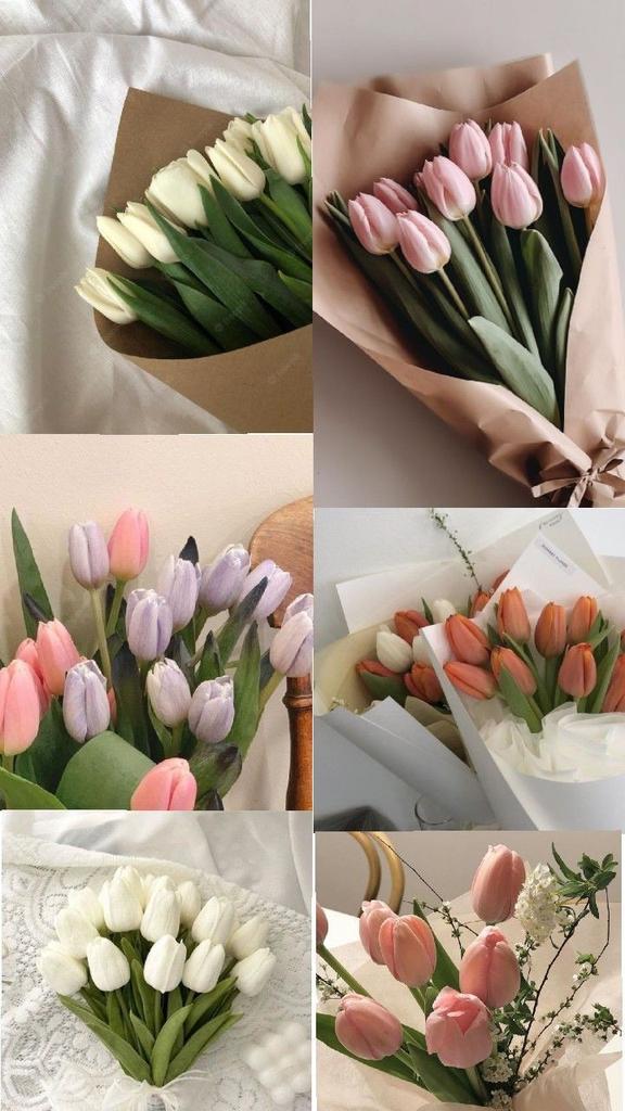 tutututututulip's tweet image. 
